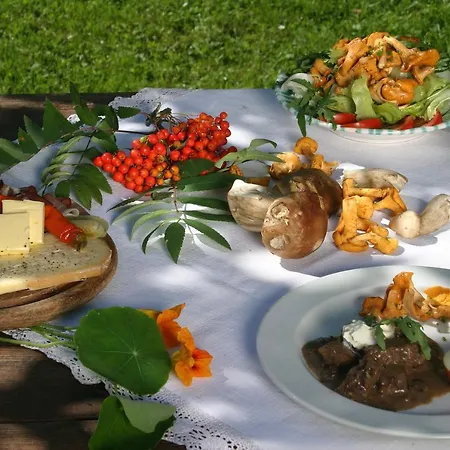 Bed & Breakfast Senninger Alm Hollersbach im Pinzgau