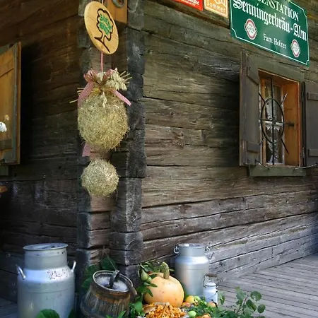 Senninger Alm فندق مبيت وإفطار *