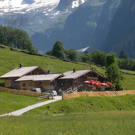 Senninger Alm * Hollersbach im Pinzgau