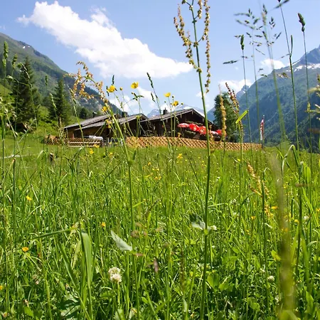 Bed & Breakfast Senninger Alm Hollersbach im Pinzgau