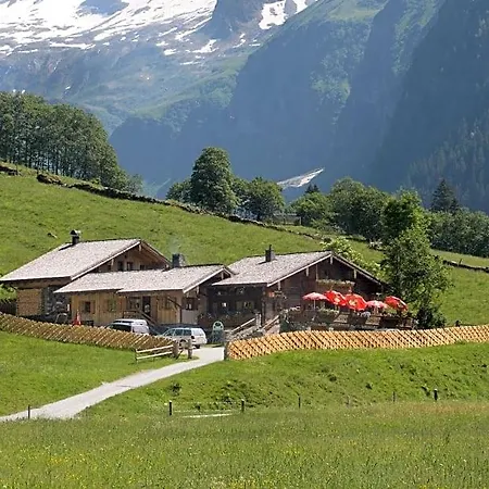 Senninger Alm هولرسباخ ام بنزغ