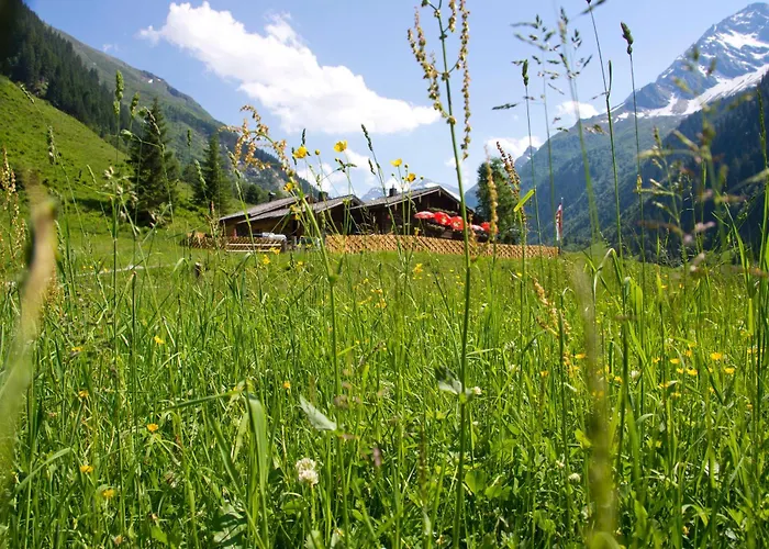 Bed & Breakfast Senninger Alm Hollersbach im Pinzgau